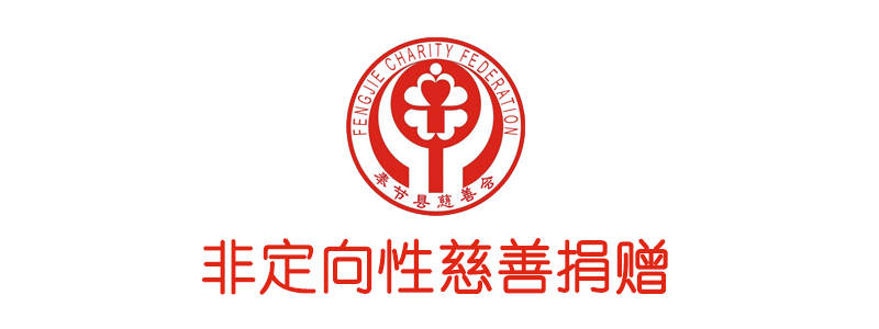 非定向性慈善项目